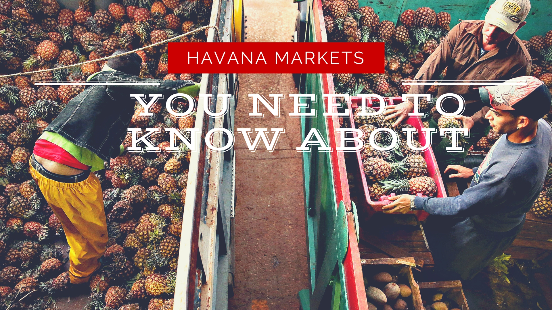 Havana Markets
